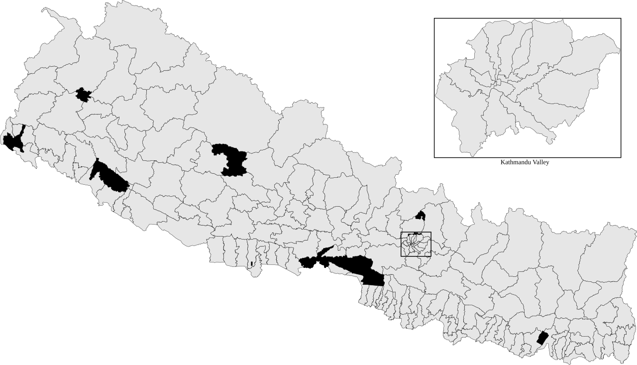 Nepal Elections: Who Filed Candidacy? RSP & Key Constituency Numbers